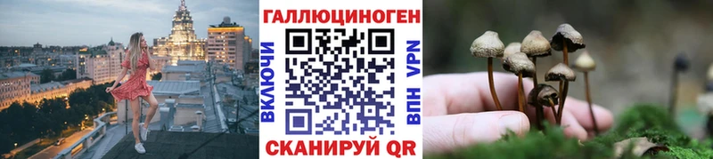 Псилоцибиновые грибы MAGIC MUSHROOMS  hydra сайт  Чернушка 