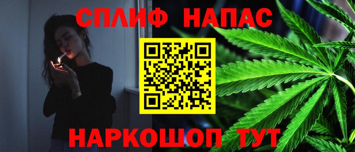 Конопля AK-47  Марихуана AK-47  Вход с VPN  Конопля MAZAR  Чернушка 