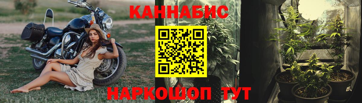 Марихуана Amnesia  Бошки Шишки Ganja  Марихуана AK-47  Конопля VHQ  Чернушка 